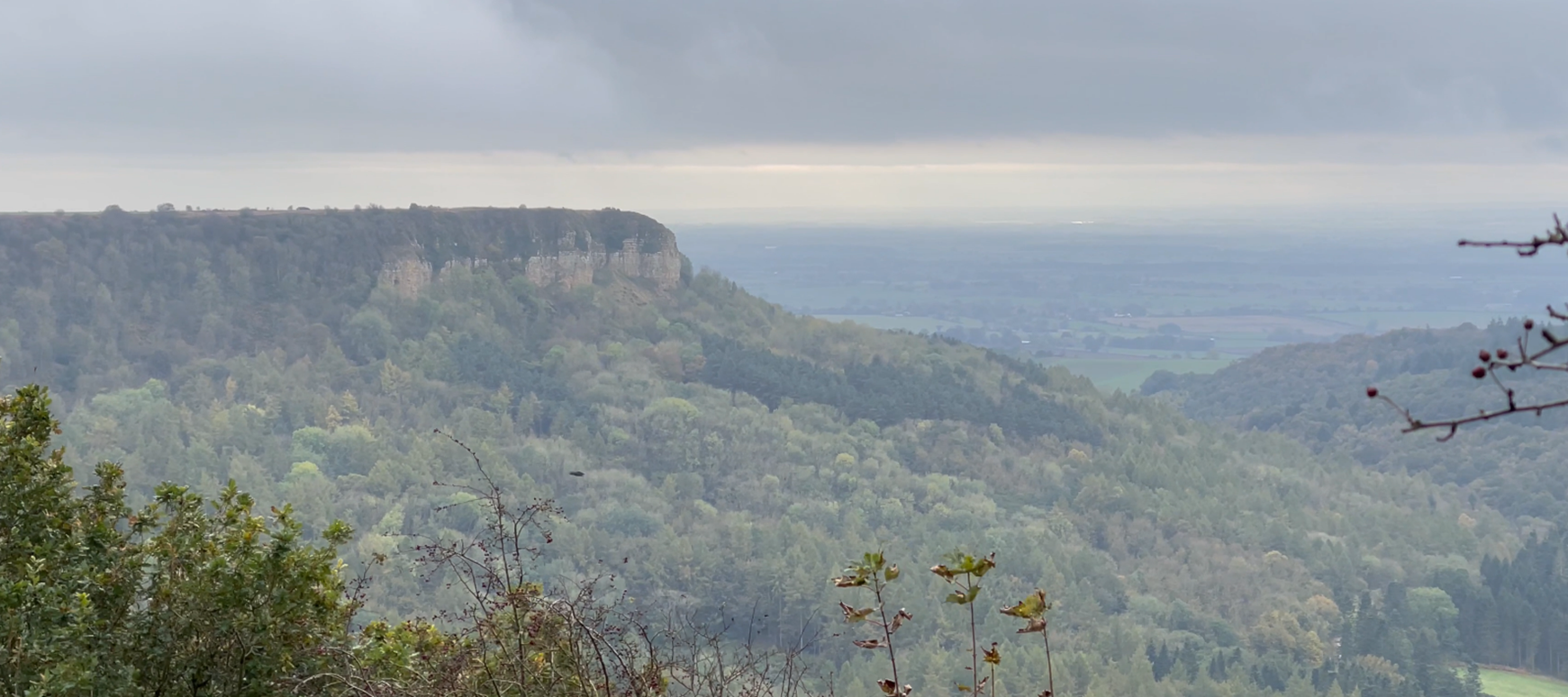 A mountain with trees and a cloudy sky

Description automatically generated